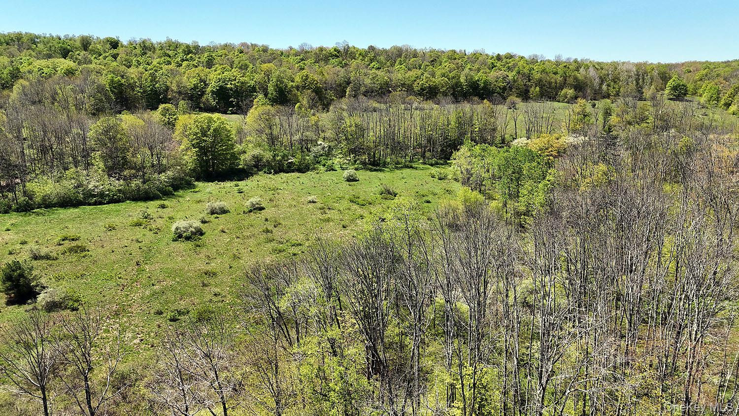 3392 Eminence Road Hancock, NY 12760 - Photo 11 of 43 a view of a forest with a lake