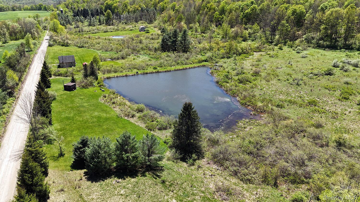 3392 Eminence Road Hancock, NY 12760 - Photo 12 of 43 a view of a garden with a tree