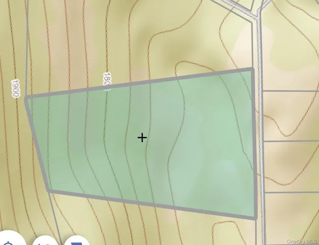 a view of a forest with a lake