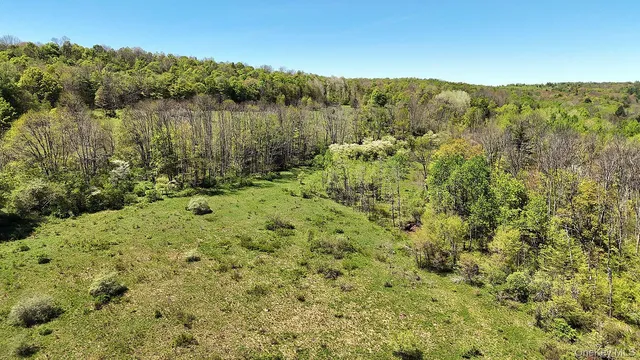a view of a big yard with lots of trees