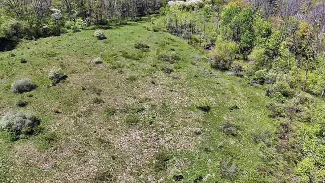 a view of a yard with trees