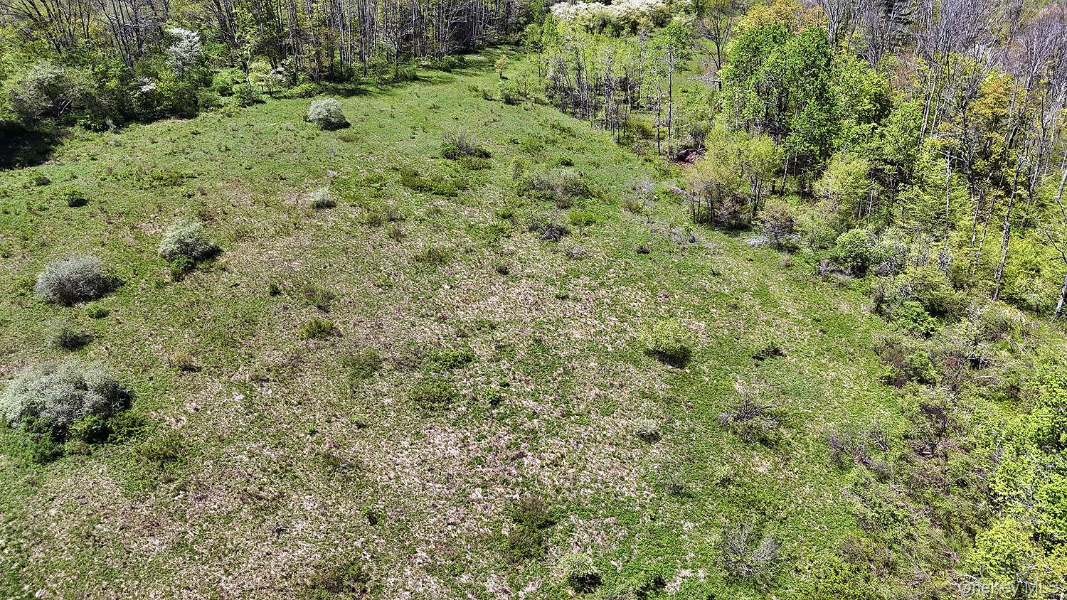 3392 Eminence Road Hancock, NY 12760 - Photo 15 of 43 a view of a big yard with lots of trees