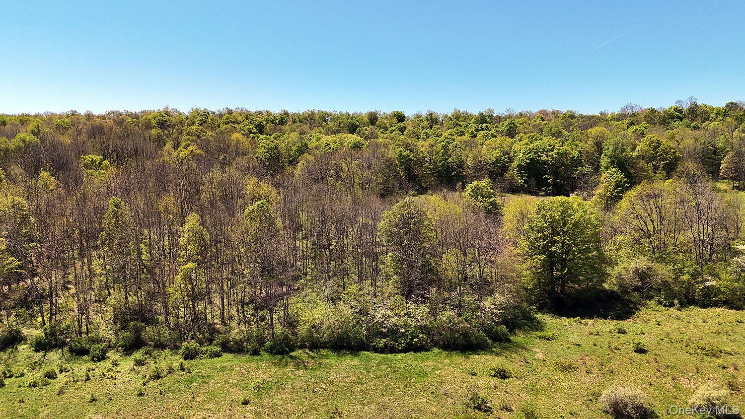 3392 Eminence Road Hancock, NY 12760 - Photo 16 of 43 a view of a yard with trees