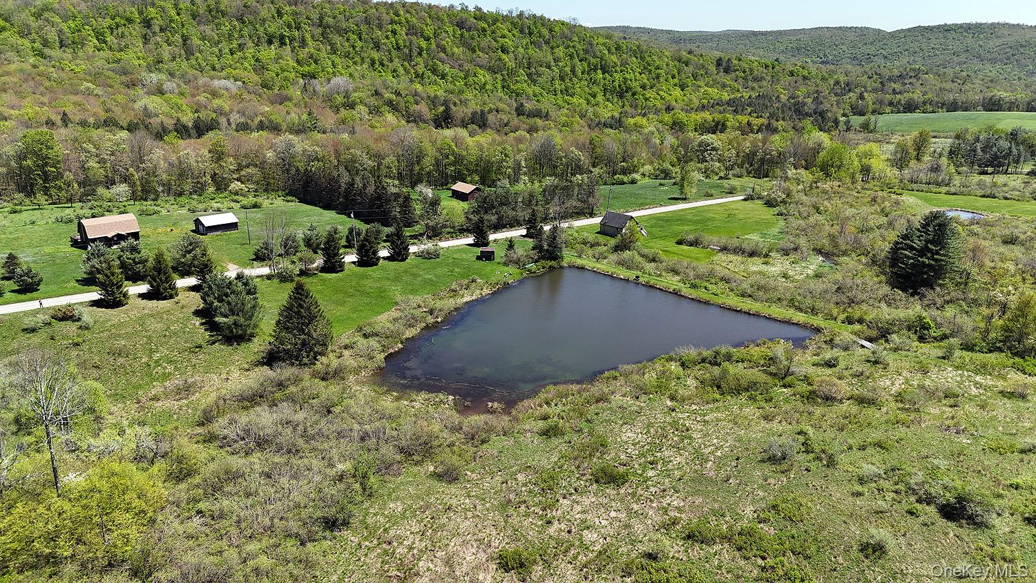 3392 Eminence Road Hancock, NY 12760 - Photo 19 of 43 an aerial view of a house with a yard