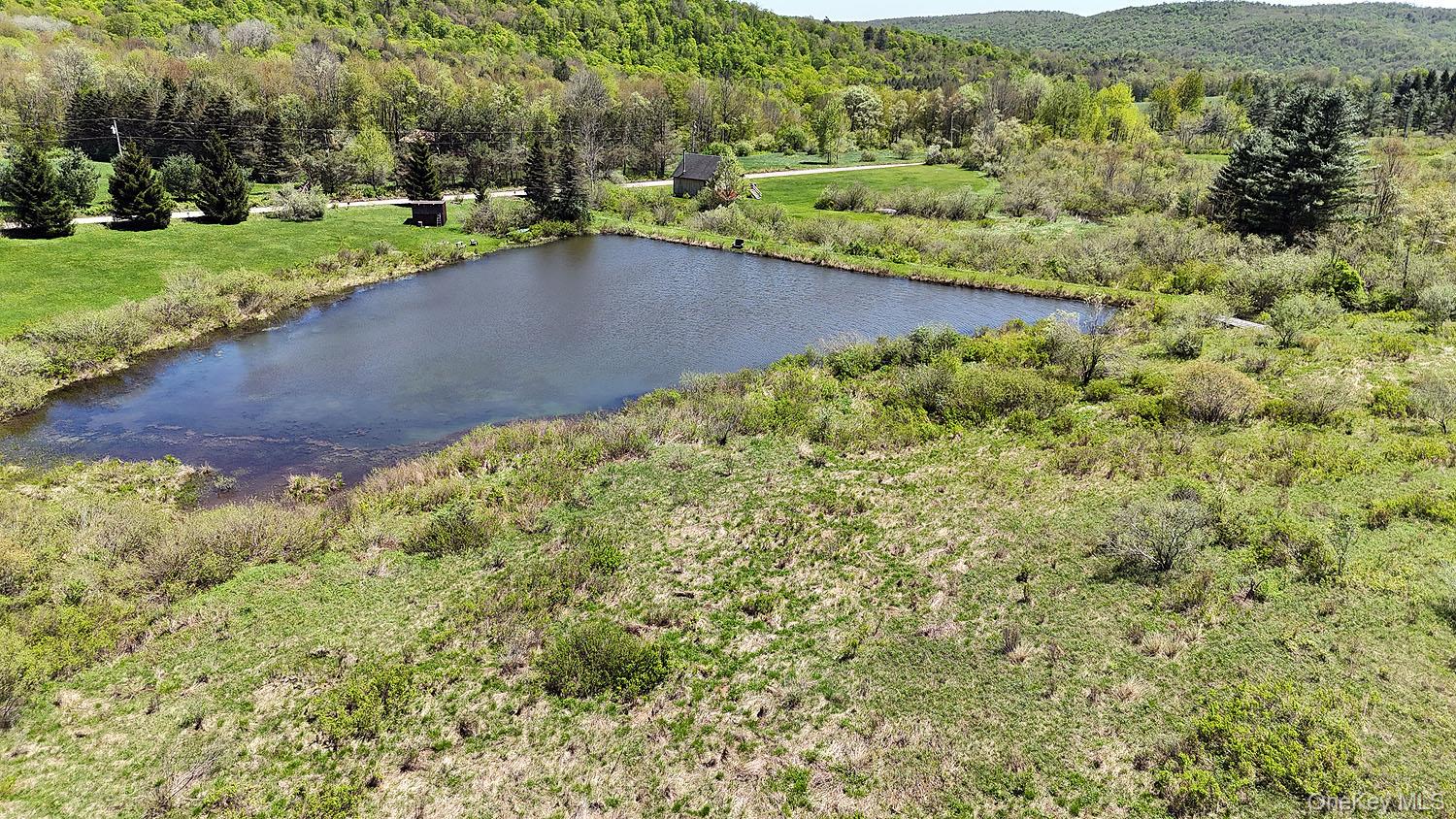 3392 Eminence Road Hancock, NY 12760 - Photo 20 of 43 a view of a lush green field with lots of green space