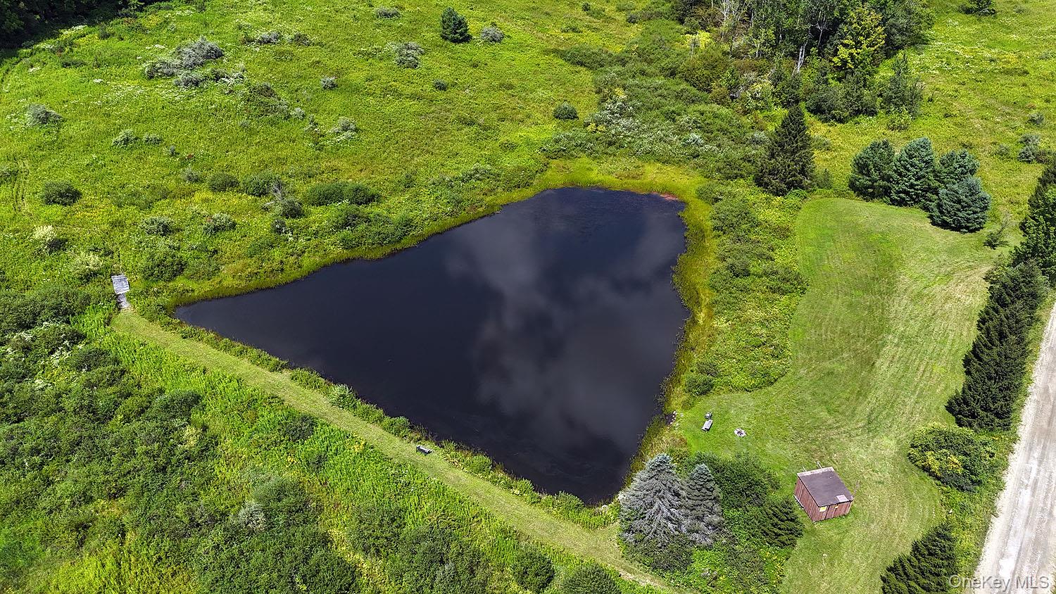 3392 Eminence Road Hancock, NY 12760 - Photo 2 of 43