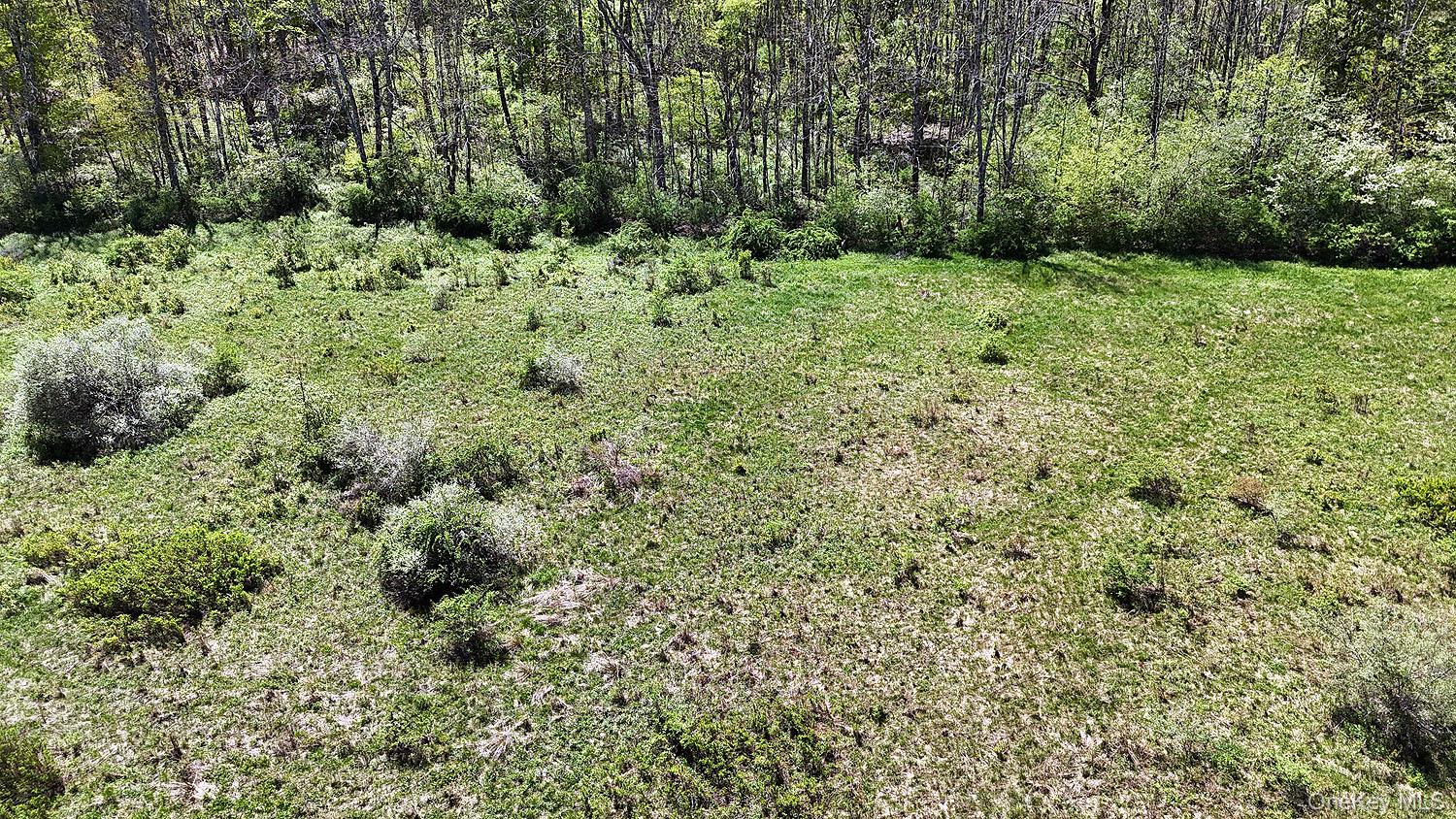 3392 Eminence Road Hancock, NY 12760 - Photo 22 of 43 a view of a lush green space
