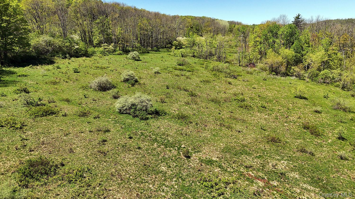 3392 Eminence Road Hancock, NY 12760 - Photo 26 of 43 a view of a green field with lots of trees in it