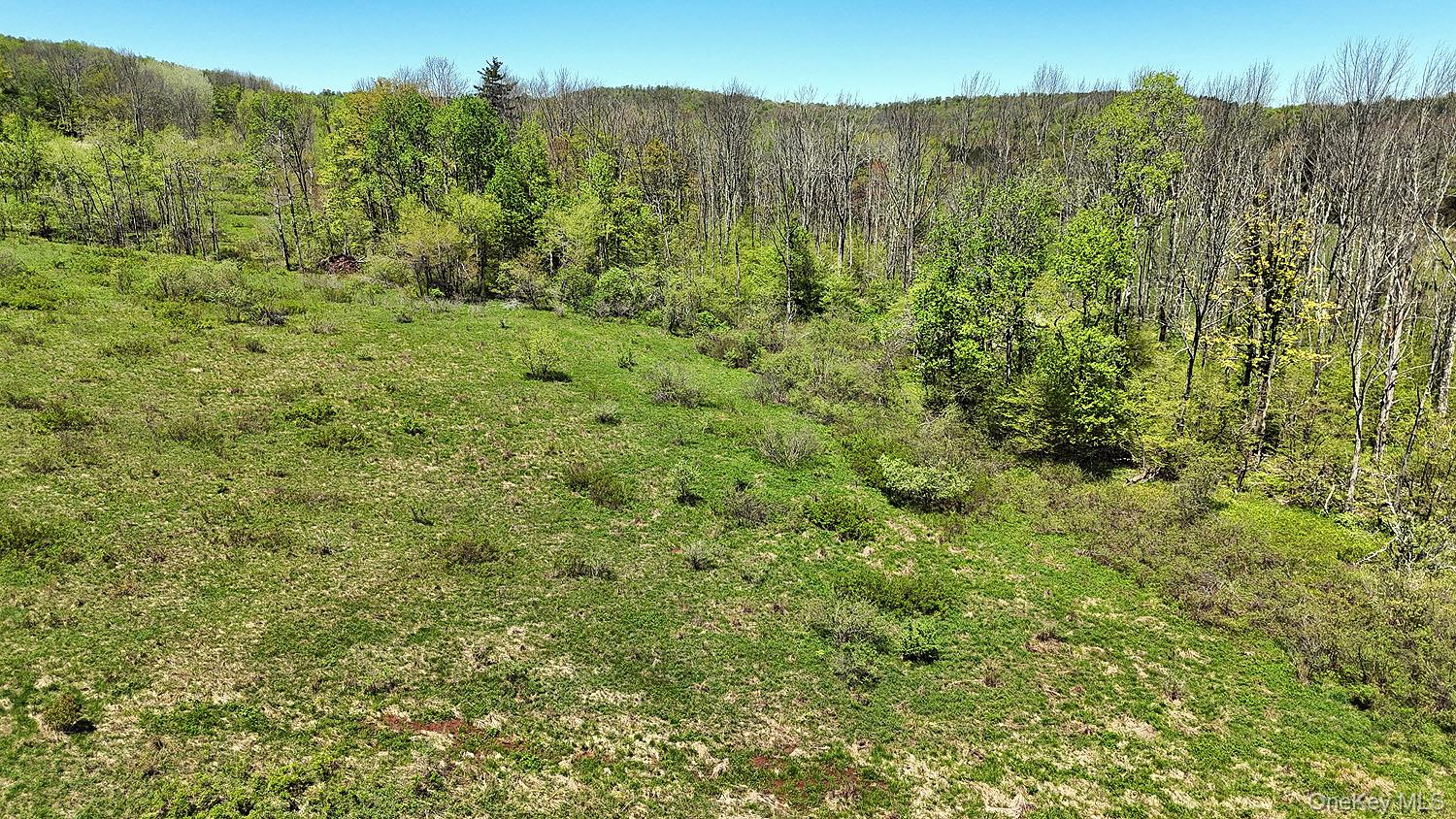 3392 Eminence Road Hancock, NY 12760 - Photo 27 of 43 a view of a lush green forest with lush green forest