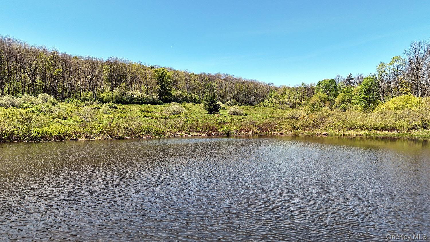 3392 Eminence Road Hancock, NY 12760 - Photo 28 of 43 a view of an ocean