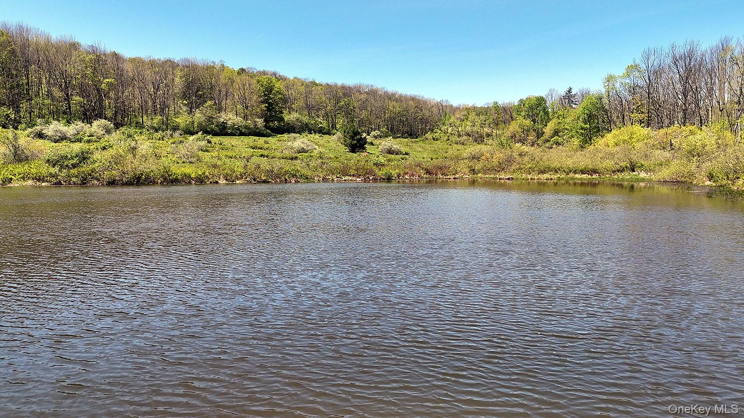 3392 Eminence Road Hancock, NY 12760 - Photo 29 of 43 a view of lake