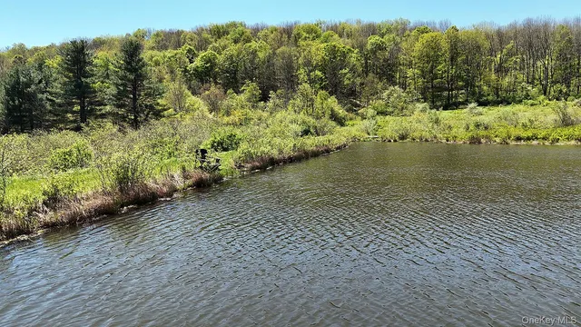 a view of a lake with a yard