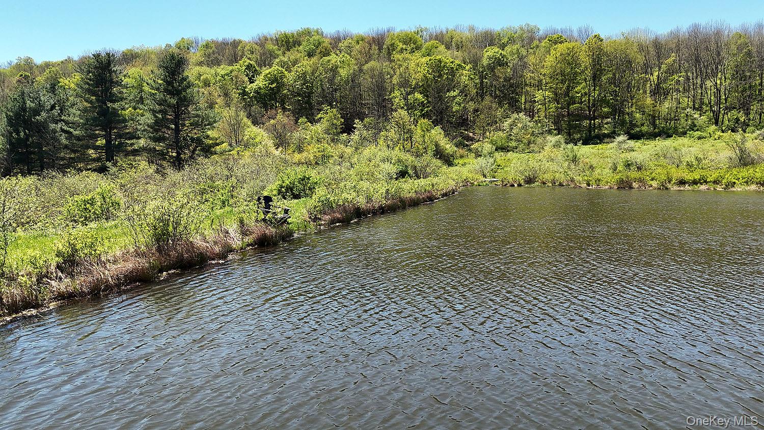 3392 Eminence Road Hancock, NY 12760 - Photo 30 of 43 a view of a lake view