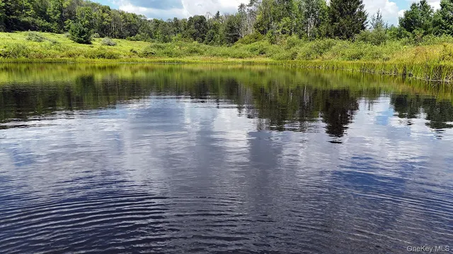 a view of a wooden bridge