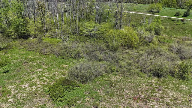 a view of a green field with lots of bushes