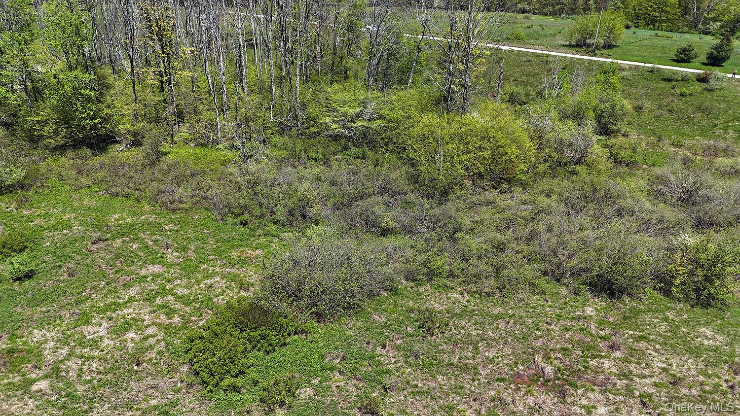 3392 Eminence Road Hancock, NY 12760 - Photo 32 of 43 a view of a lush green forest with a houses