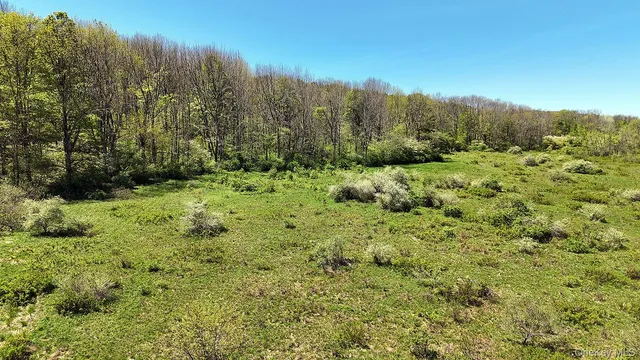 a view of a lake with a mountain in the background
