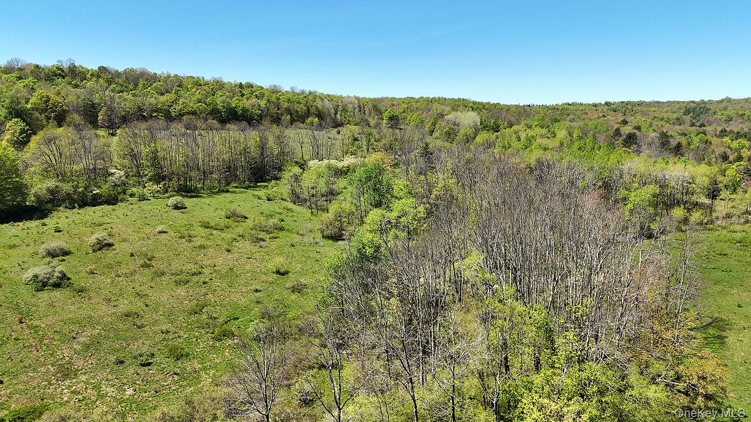 3392 Eminence Road Hancock, NY 12760 - Photo 34 of 43 a view of a lake with a mountain in the background