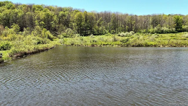 a view of a lake with a large yard