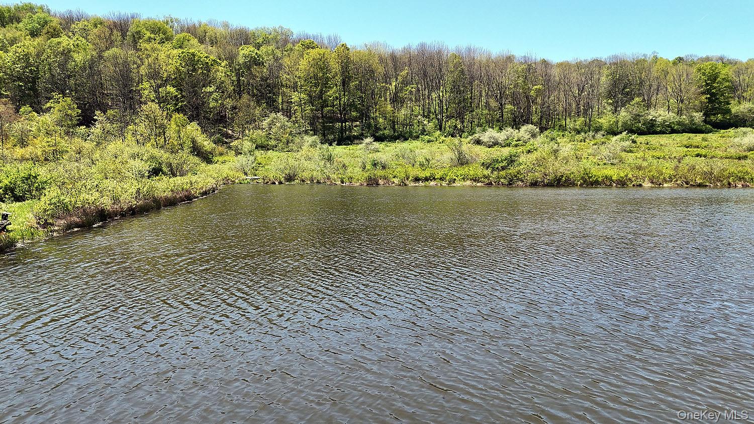 3392 Eminence Road Hancock, NY 12760 - Photo 36 of 43 a view of a lake view