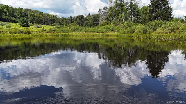 an aerial view of a house with a yard basket ball court and outdoor seating