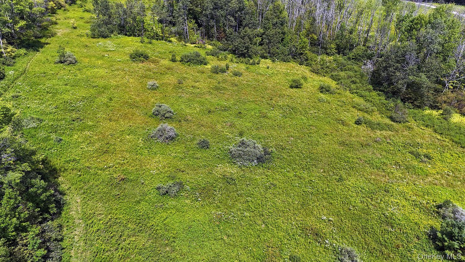 3392 Eminence Road Hancock, NY 12760 - Photo 39 of 43 a view of a big yard with plants and large trees