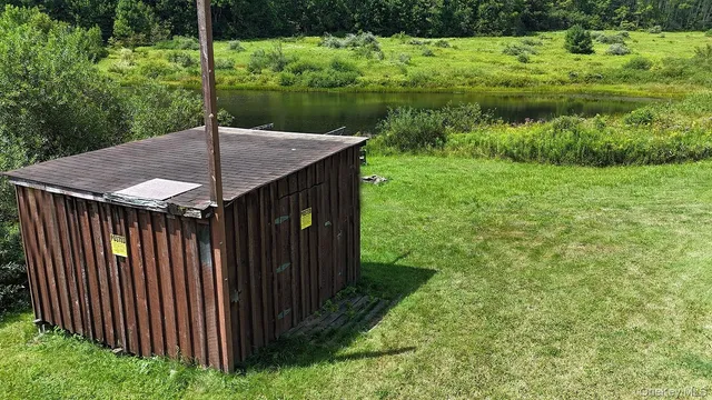 a view of a yard with plants and large trees