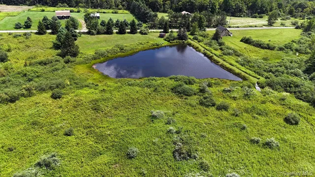 a view of a backyard with wooden fence