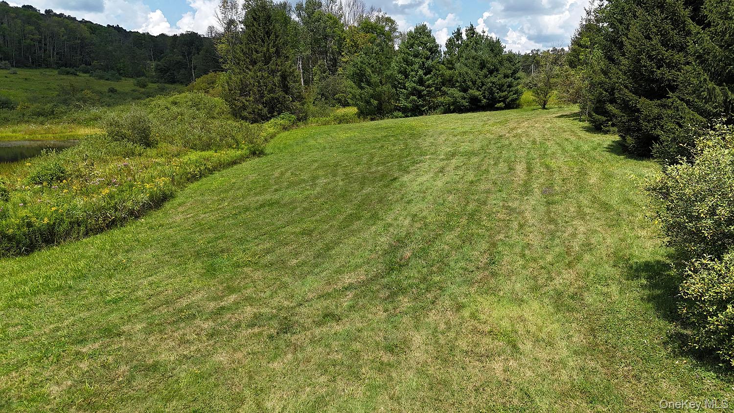 3392 Eminence Road Hancock, NY 12760 - Photo 5 of 43 a view of a green field with lots of bushes