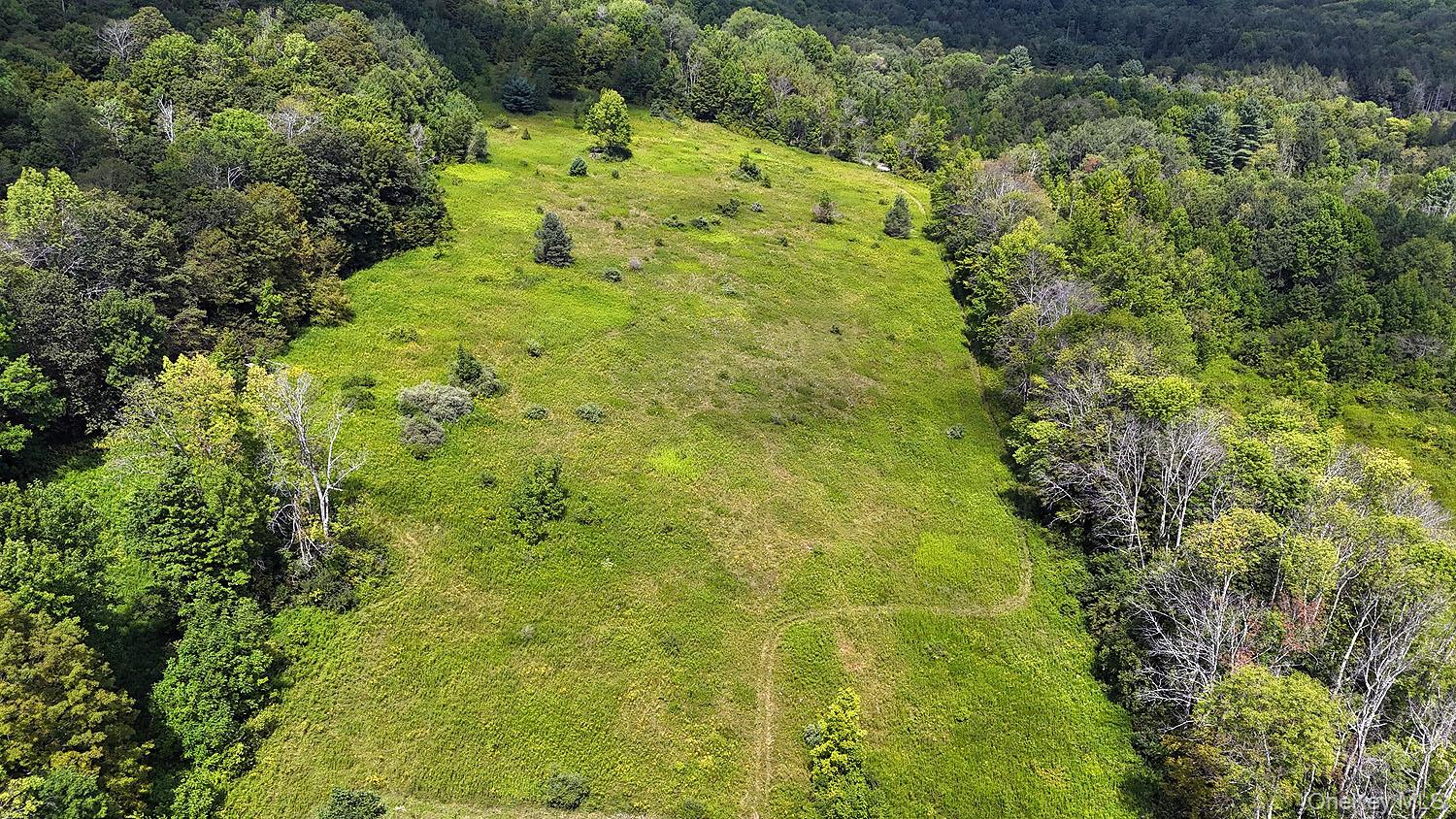 3392 Eminence Road Hancock, NY 12760 - Photo 7 of 43 a view of a big yard with large trees