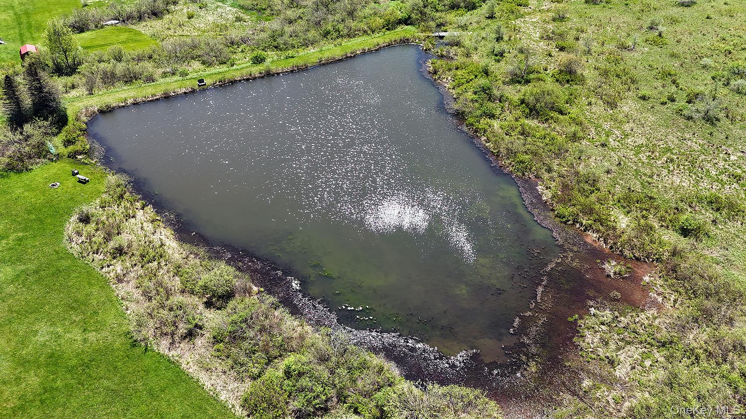 3392 Eminence Road Hancock, NY 12760 - Photo 9 of 43 a view of a garden with a tree