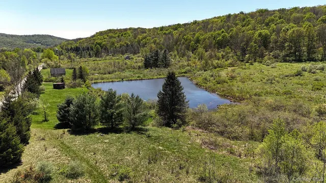 a view of a forest with a lake