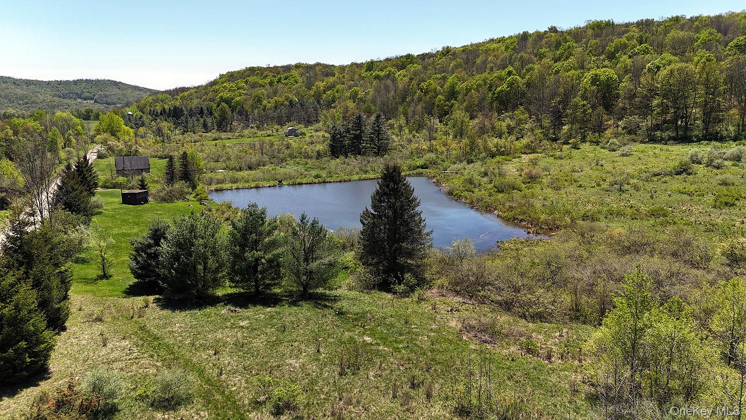 3392 Eminence Road Hancock, NY 12760 - Photo 10 of 43 a view of a lake with a mountain in the background