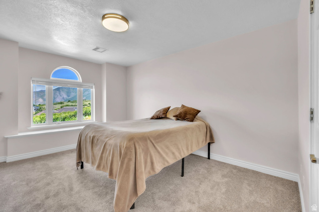 209 High Sierra Drive South Elk Ridge, UT 84651 - Photo 48 of 112