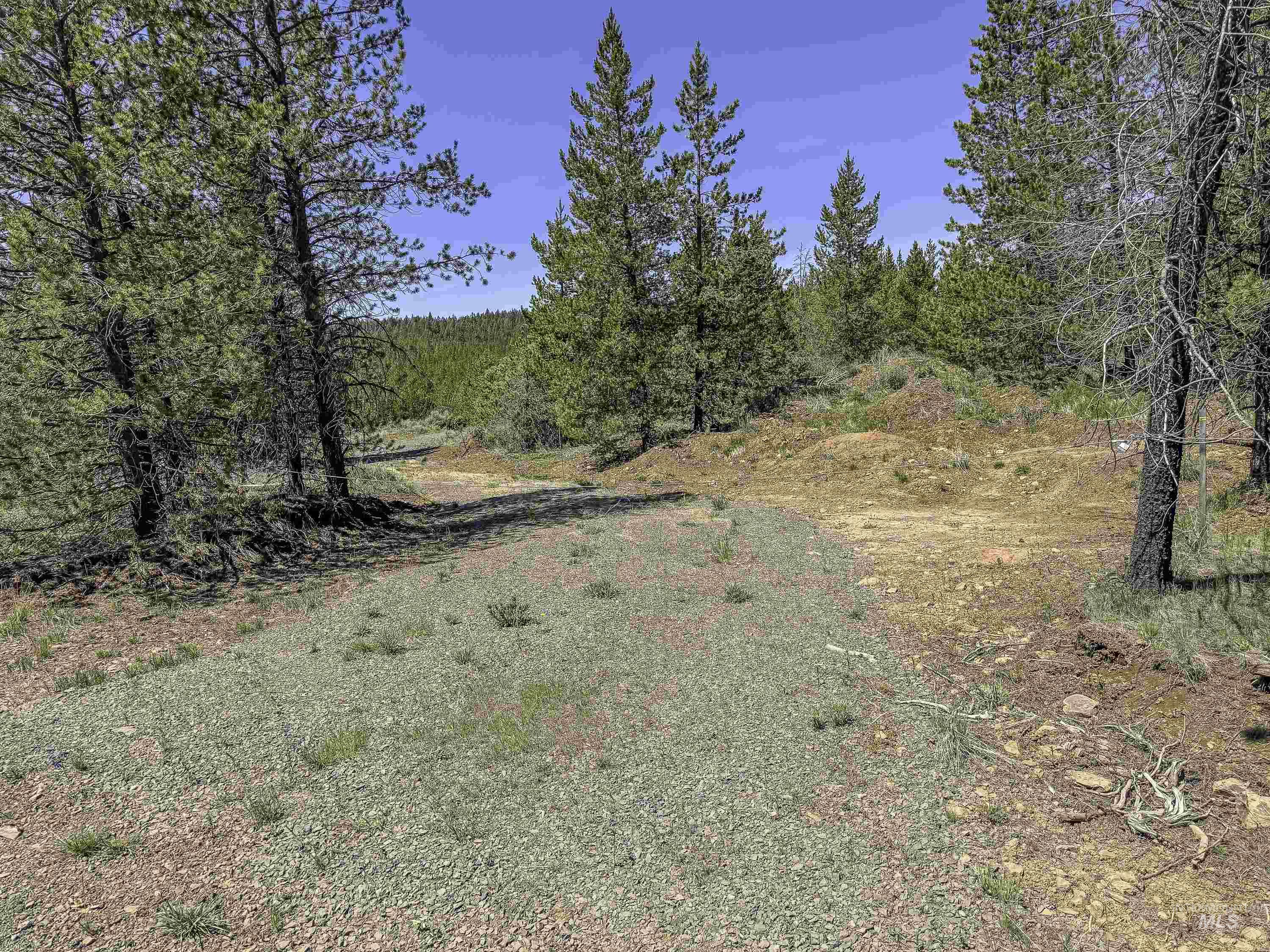 Tbd Deer Creek Road Winchester, ID 83555 - Photo 7 of 39