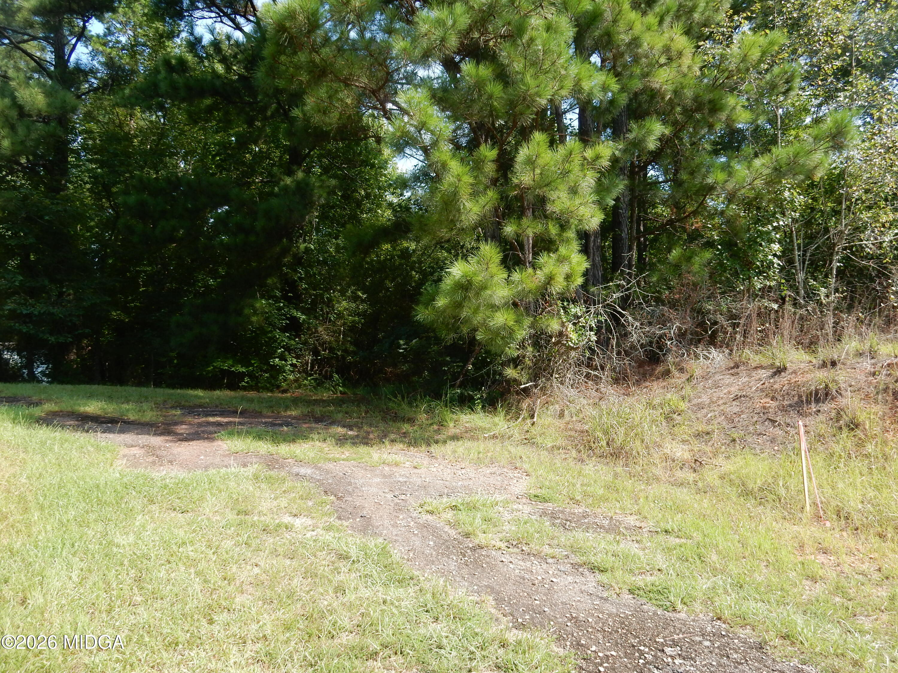 1 Whitaker Road Roberta, GA 31078 - Photo 2 of 3 DSCN0120