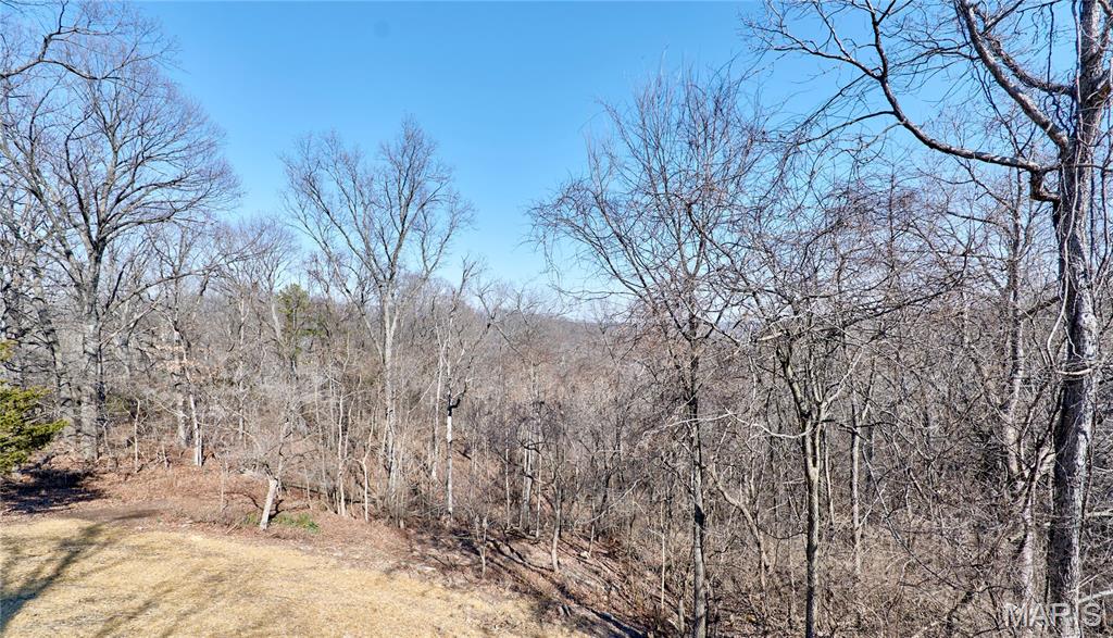 3523 East Four Ridge Road Imperial, MO 63052 - Photo 36 of 42