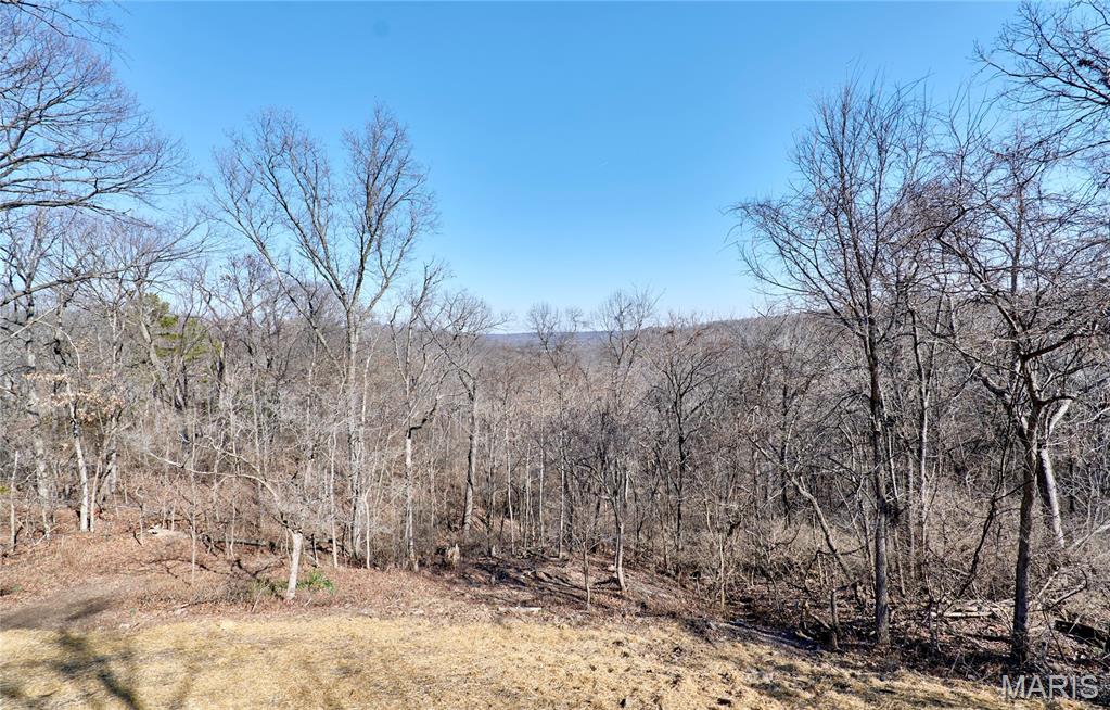 3523 East Four Ridge Road Imperial, MO 63052 - Photo 40 of 42