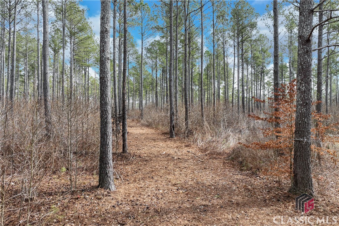 1435 Hargrove Lake Road Winterville, GA 30683 - Photo 4 of 8