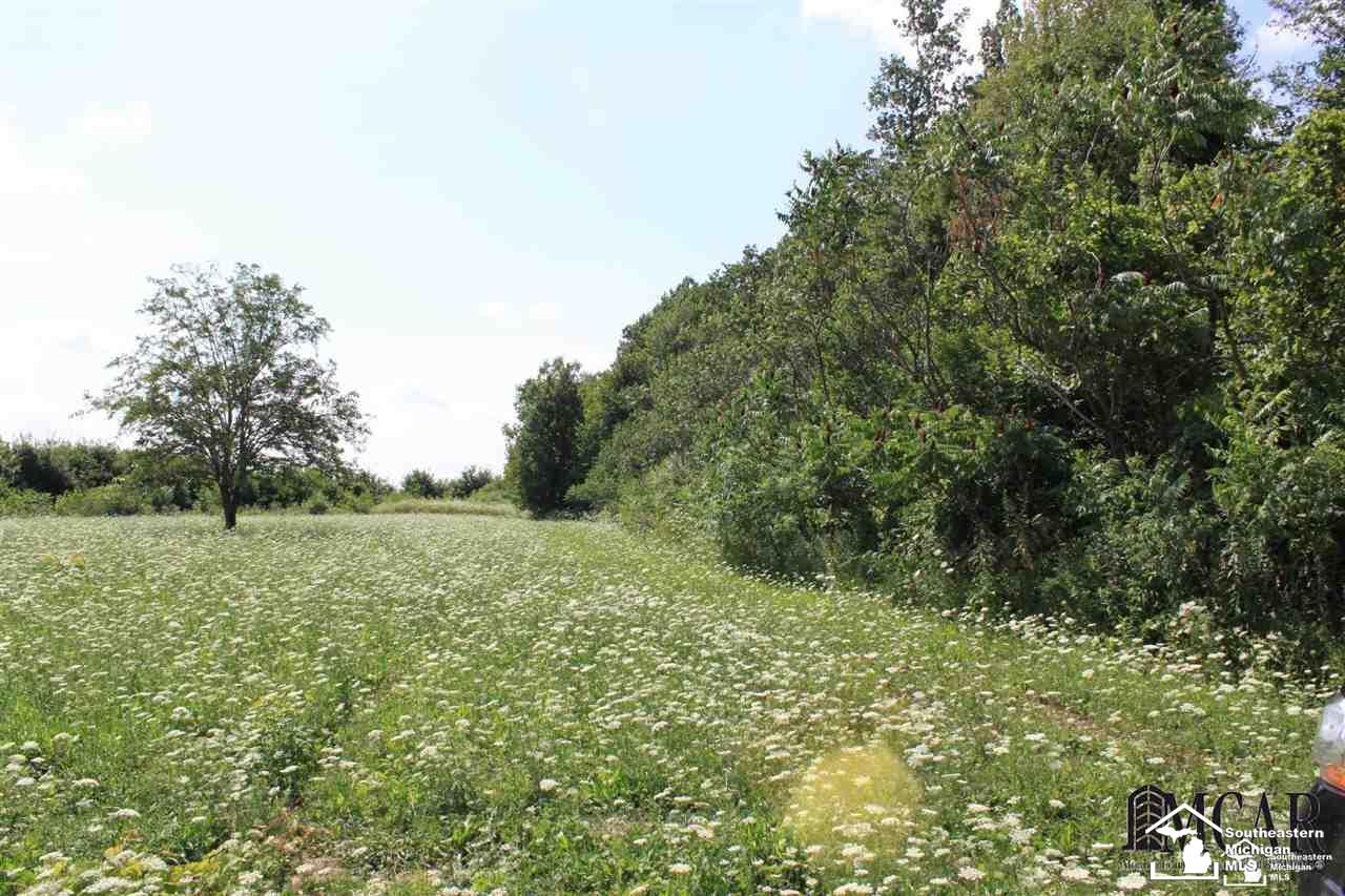 0 Finzel Road Carleton, MI 48117 - Photo 3 of 7