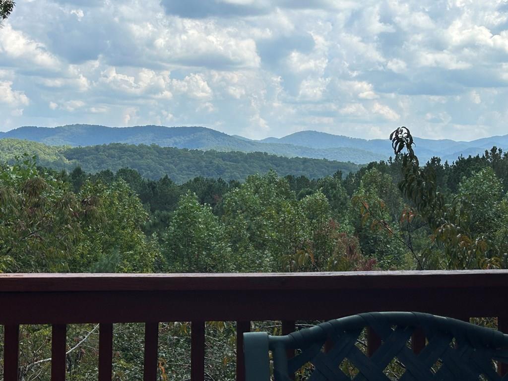 603 Red Berry Ridge Road Blue Ridge, GA 30513 - Photo 8 of 96 Gallery Image 8