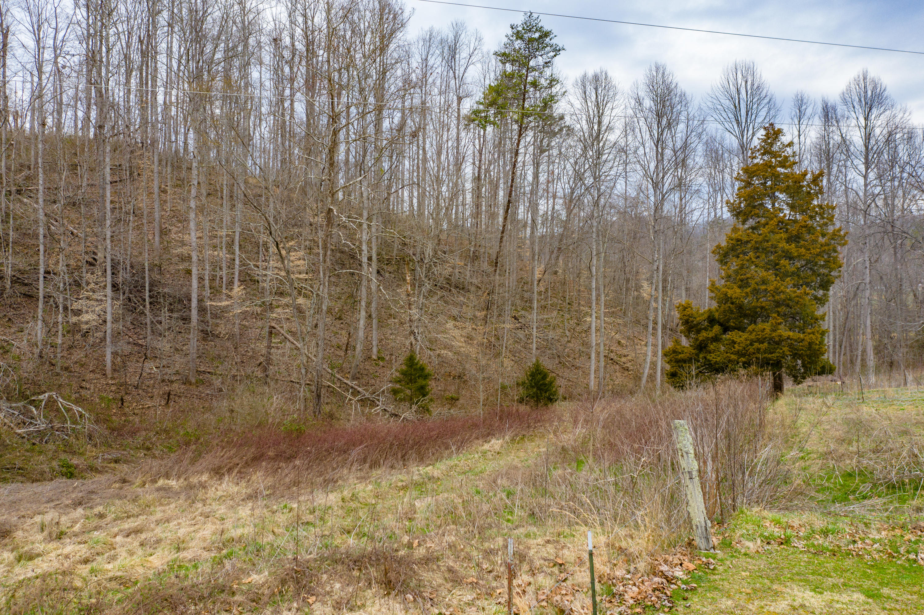 436 Bell View Road Washburn, TN 37888 - Photo 14 of 15 DJI_0587