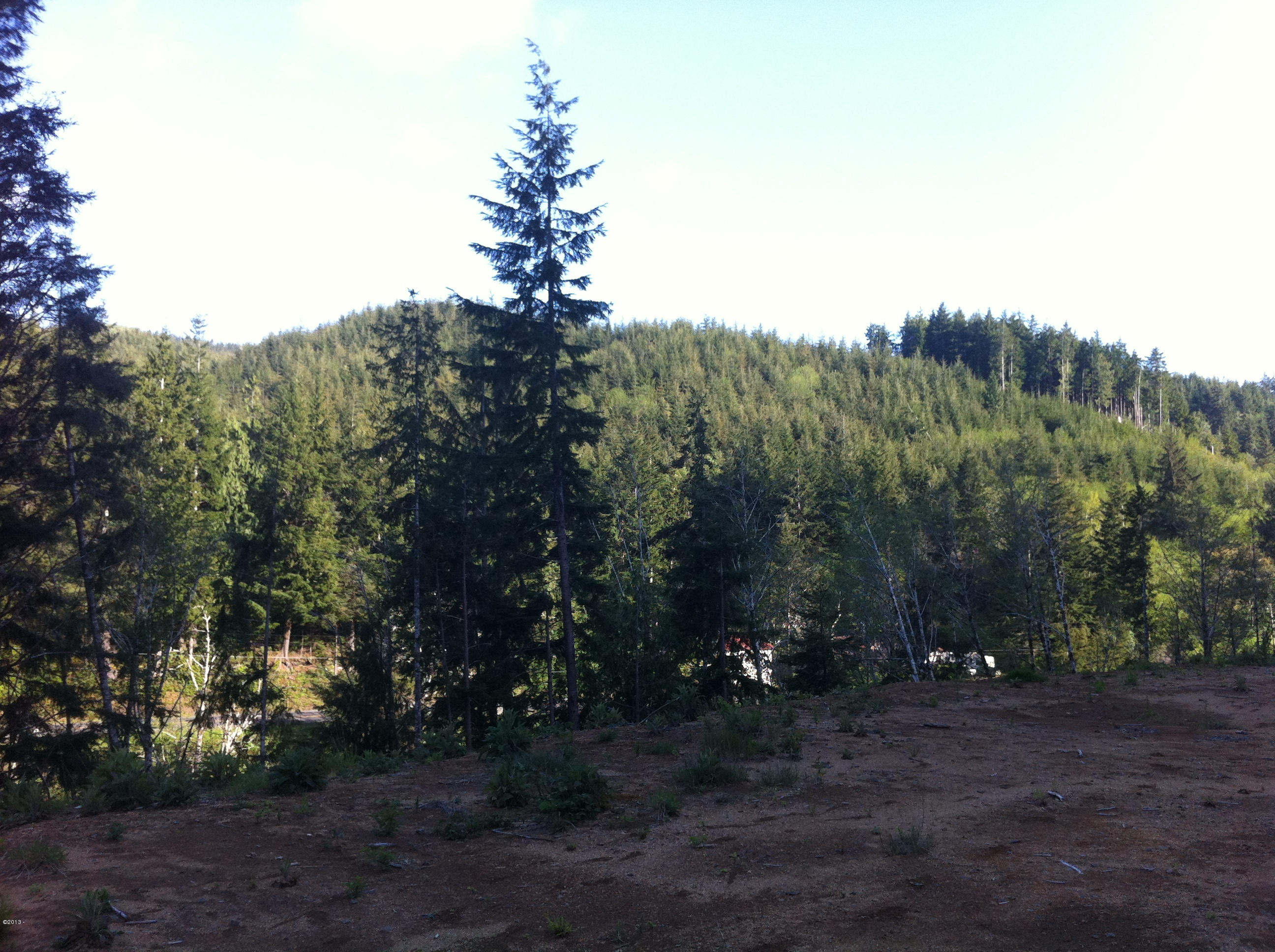 401 South Anderson Creek Road Lincoln City, OR 97367 - Photo 9 of 16 058