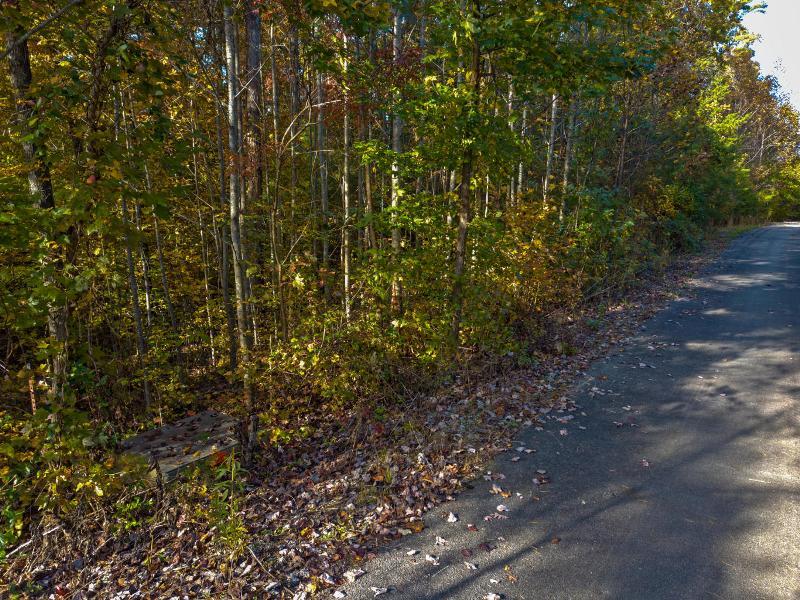Lot 8 Jericho Road Maryville, TN 37803 - Photo 2 of 24 4