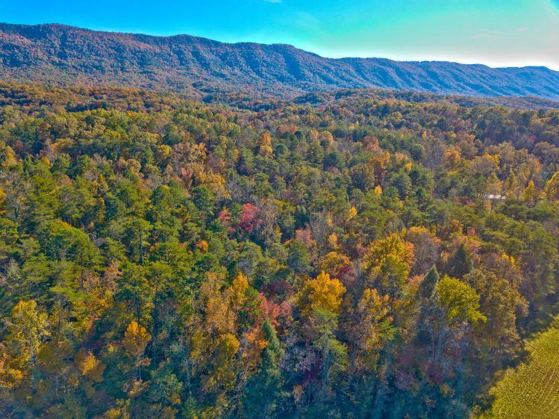 Lot 8 Jericho Road Maryville, TN 37803 - Photo 13 of 24 16