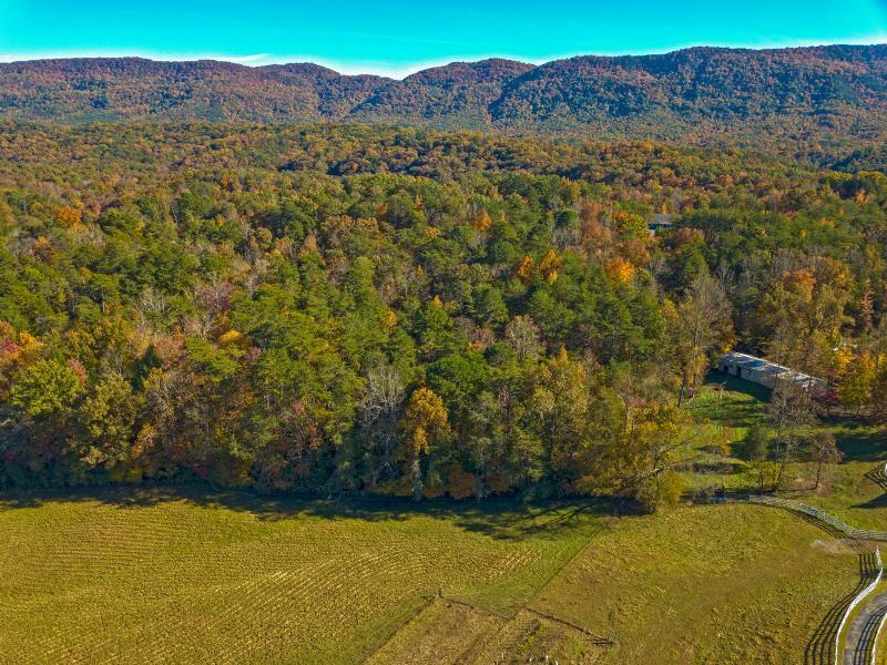 Lot 8 Jericho Road Maryville, TN 37803 - Photo 14 of 24 17