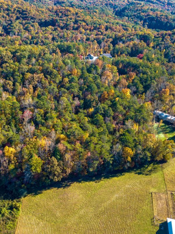 Lot 8 Jericho Road Maryville, TN 37803 - Photo 16 of 24 19
