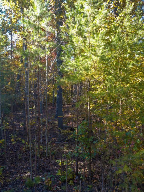 Lot 8 Jericho Road Maryville, TN 37803 - Photo 22 of 24 26