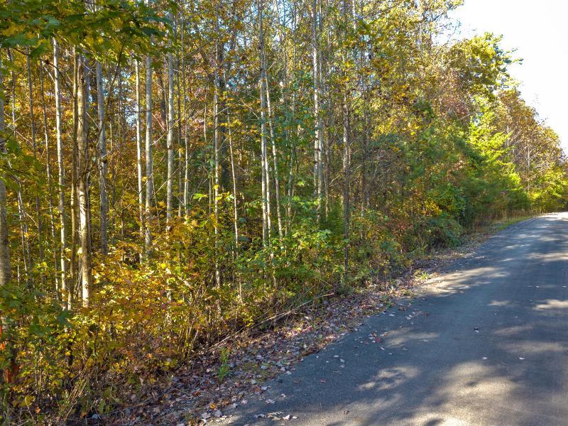 Lot 8 Jericho Road Maryville, TN 37803 - Photo 24 of 24 B