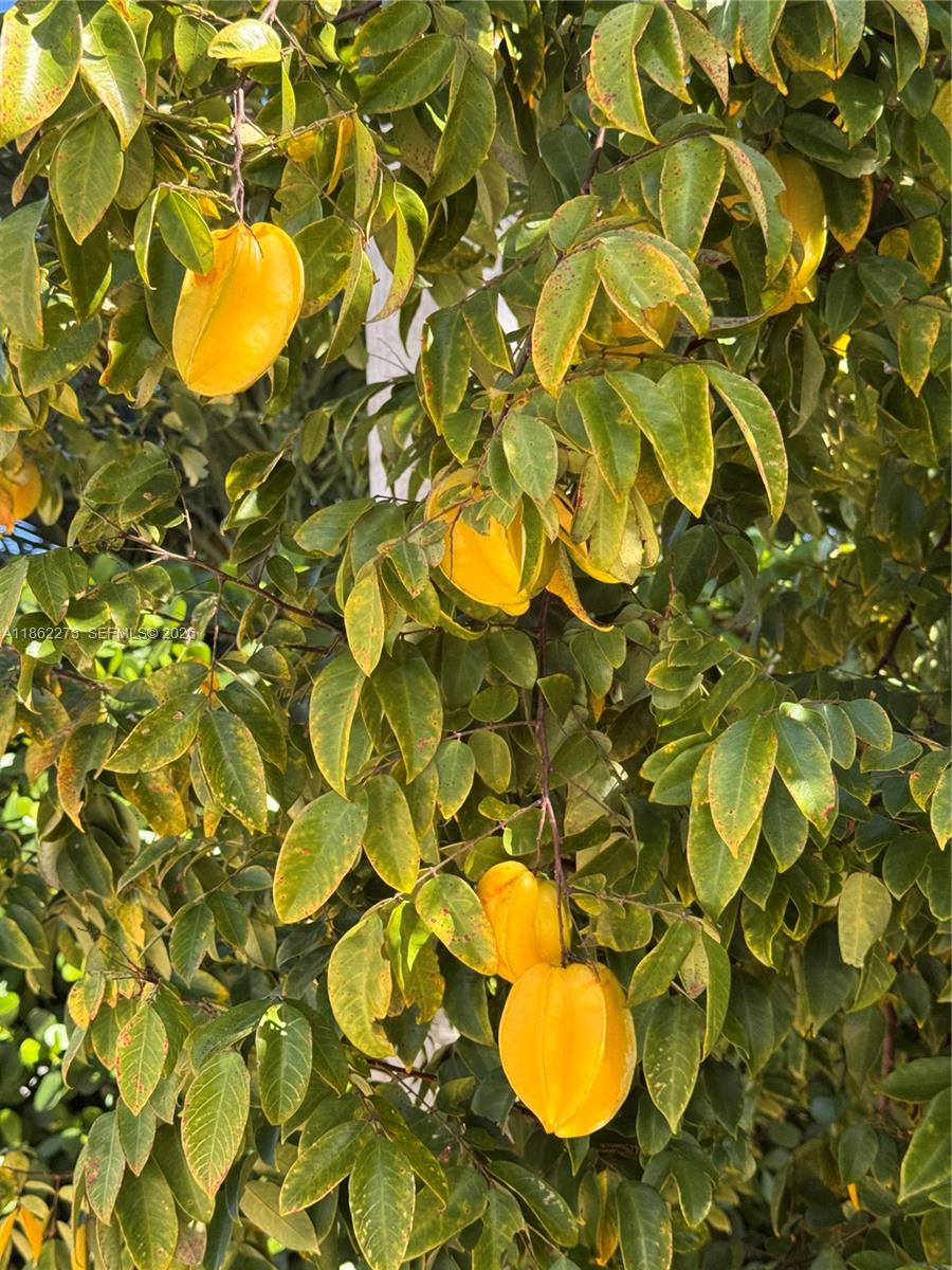 8366 Southwest 193rd Street Cutler Bay, FL 33157 - Photo 13 of 20 a bathroom with a sink and mirror